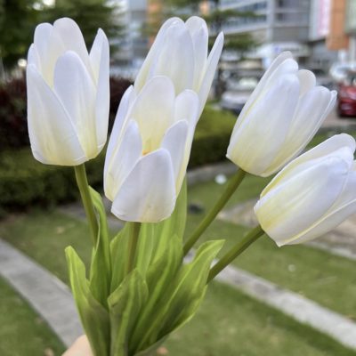 3D Printed Tactile Tulips| 3&5-Bloom