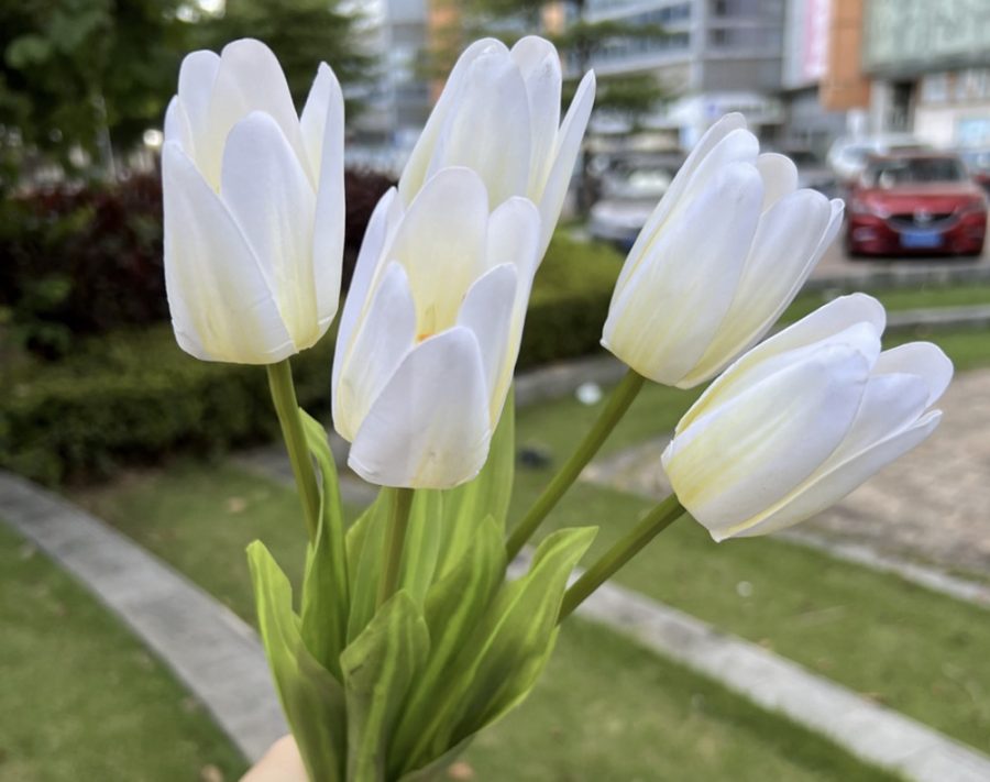 3D Printed Tactile Tulips| 3&5-Bloom