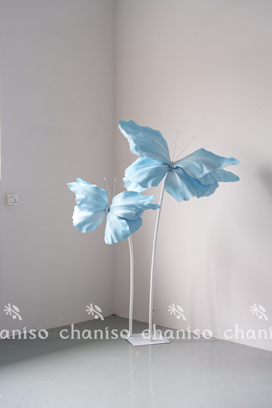 Standing Butterfly Display