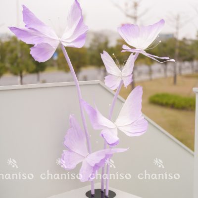 Standing Butterfly Display