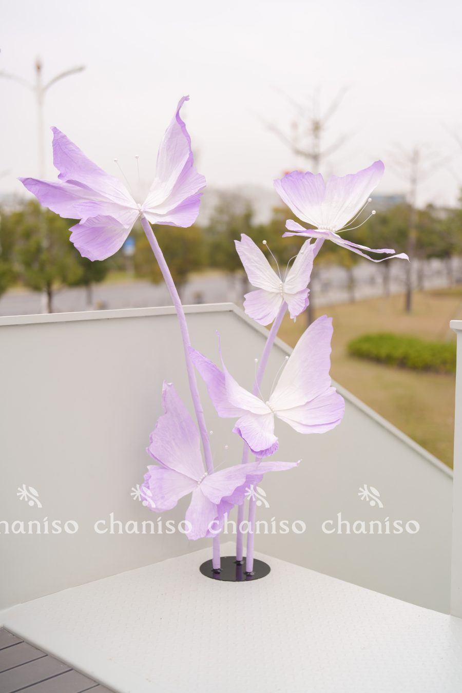Standing Butterfly Display