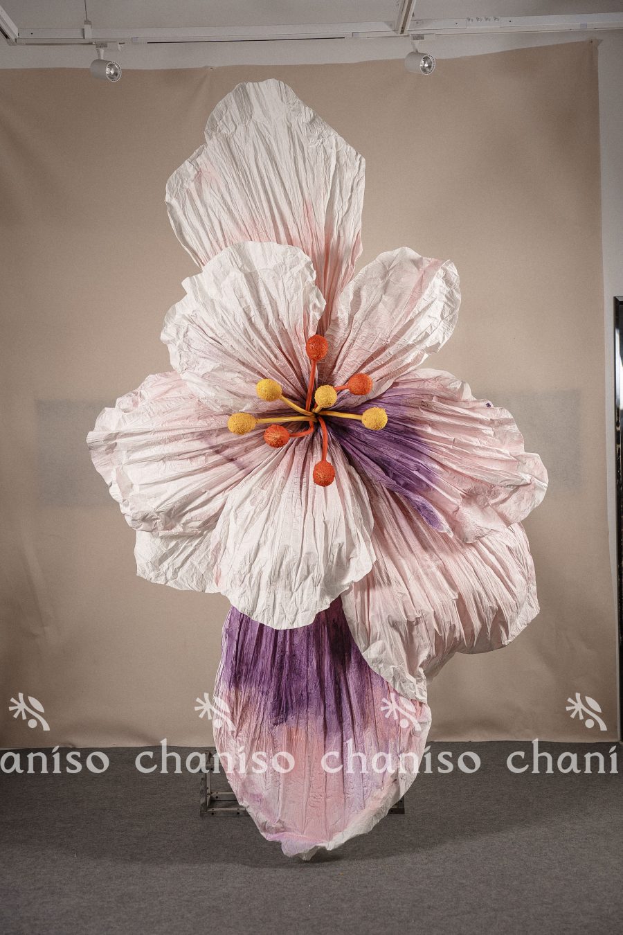 IMG02216 Oversized Gradient Paper Flowers with Stamen