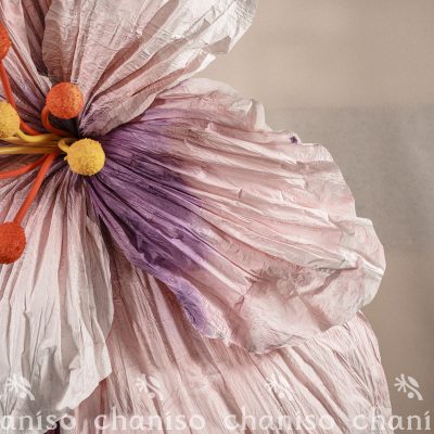 IMG02222 Oversized Gradient Paper Flowers with Stamen