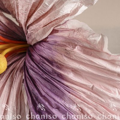 IMG02232 Oversized Gradient Paper Flowers with Stamen