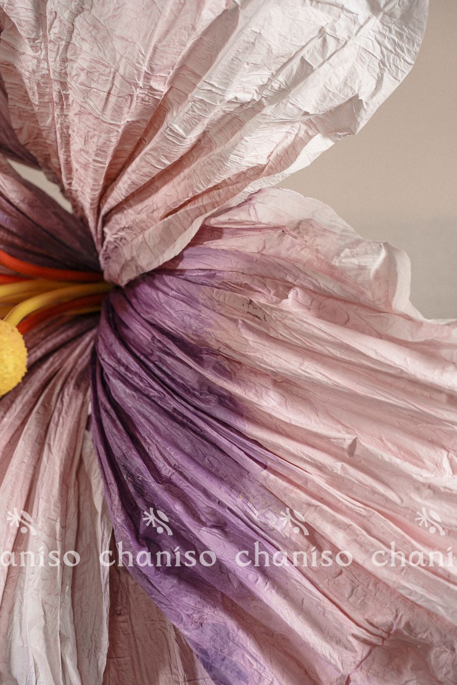 IMG02232 Oversized Gradient Paper Flowers with Stamen