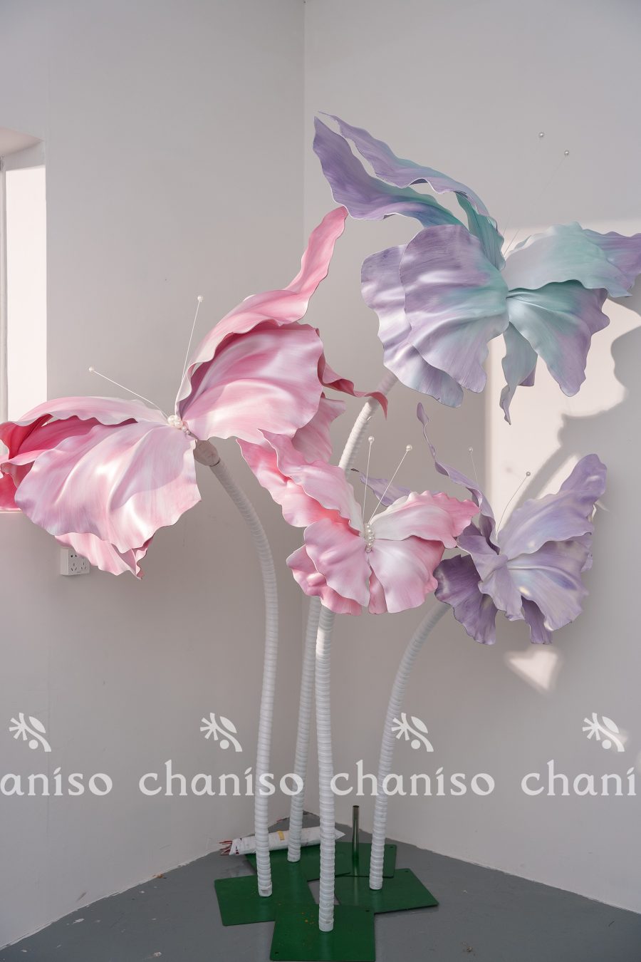 Standing Butterfly Display