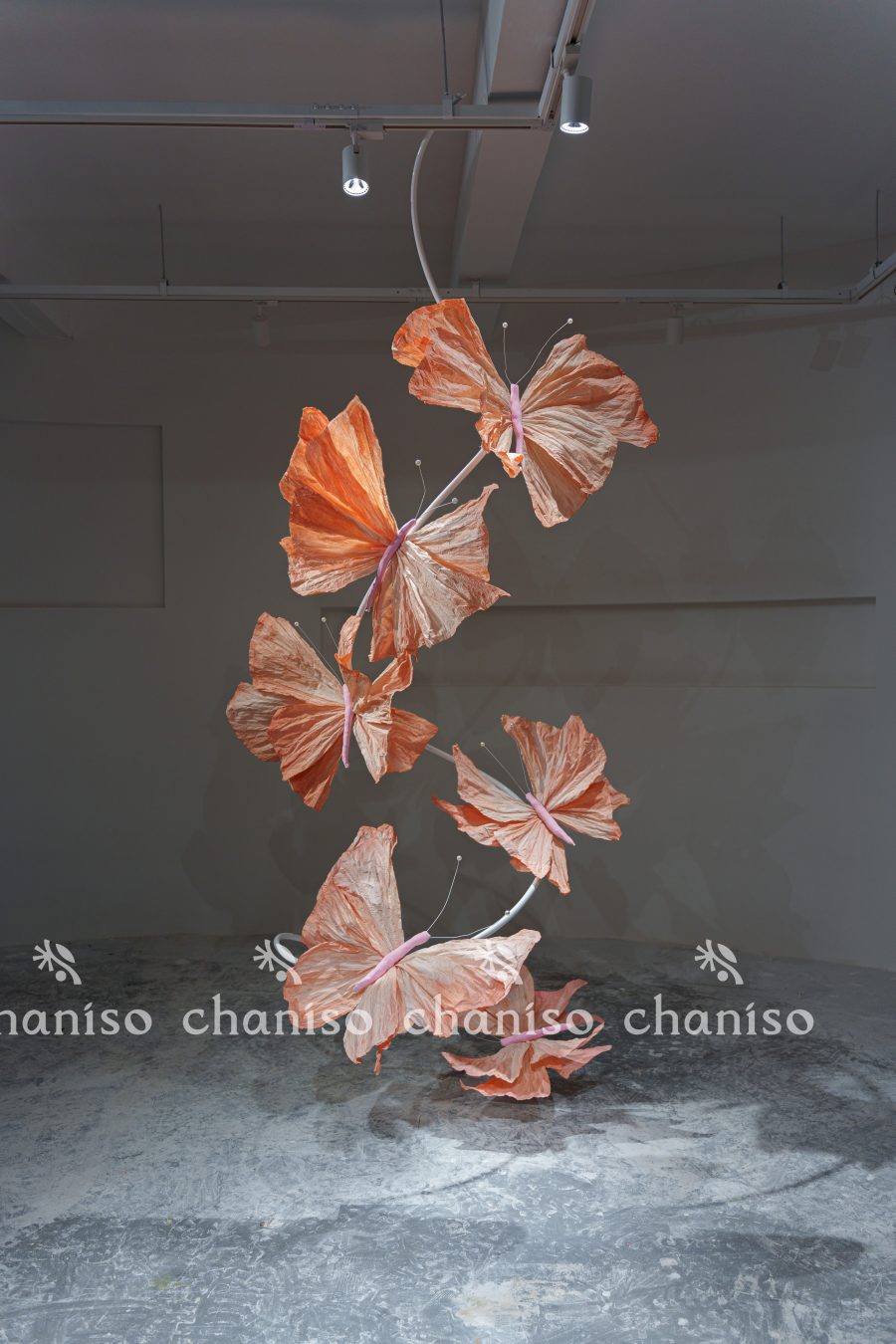 Hanging Butterfly Array