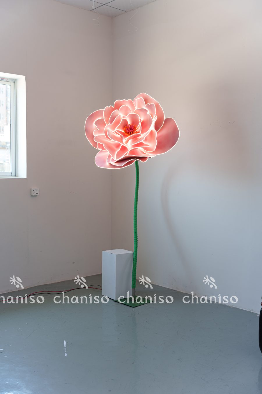 LED-Embedded Giant Blooms for Nighttime Displays