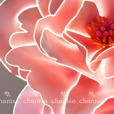 LED-Embedded Giant Blooms for Nighttime Displays