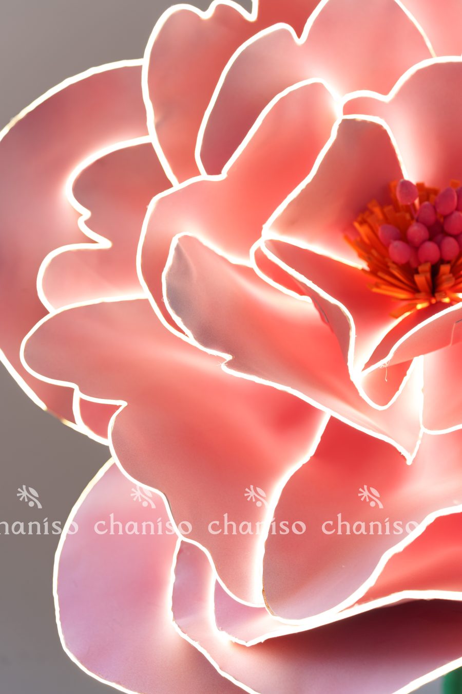 LED-Embedded Giant Blooms for Nighttime Displays