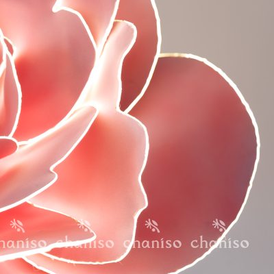 LED-Embedded Giant Blooms for Nighttime Displays