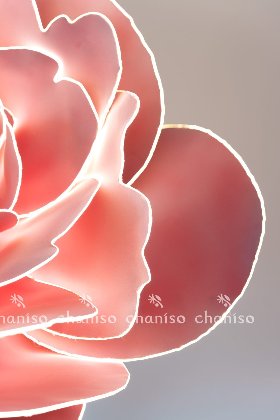 LED-Embedded Giant Blooms for Nighttime Displays