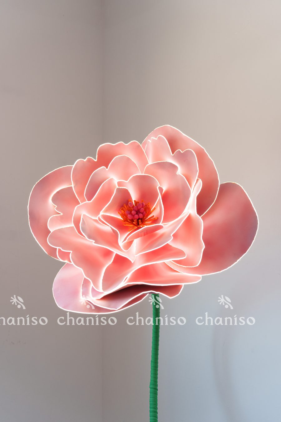 LED-Embedded Giant Blooms for Nighttime Displays