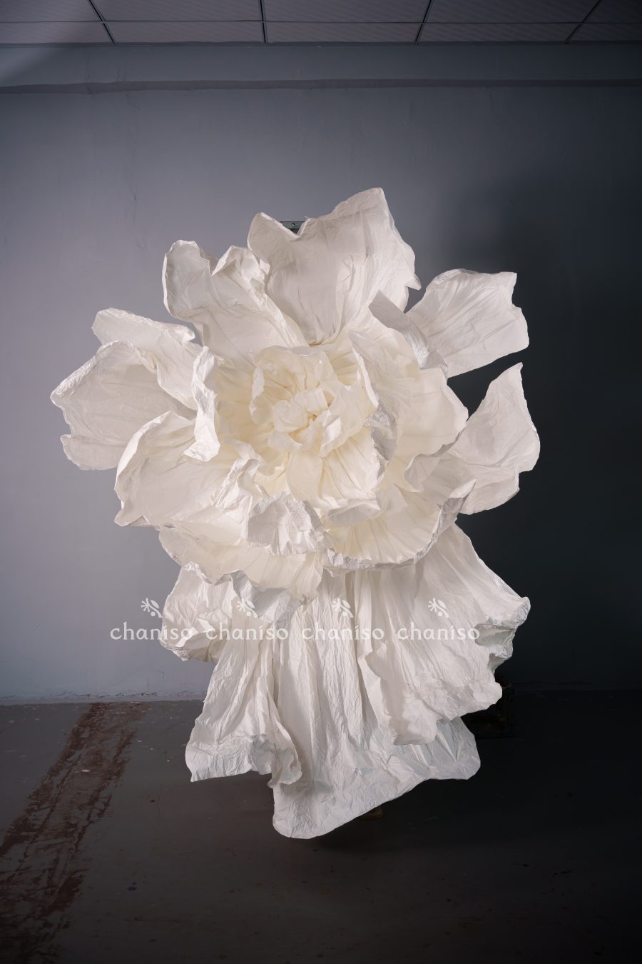 Monochrome White Oversized Florals