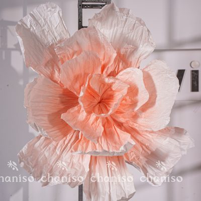 Shapeable Giant Paper Flowers| Reconfigurable Petal
