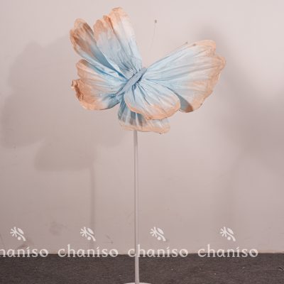 Standing Butterfly Display