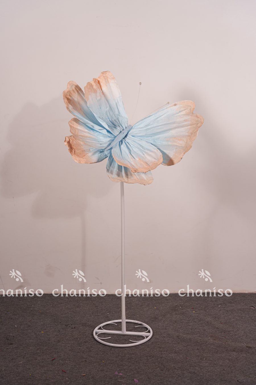 Standing Butterfly Display