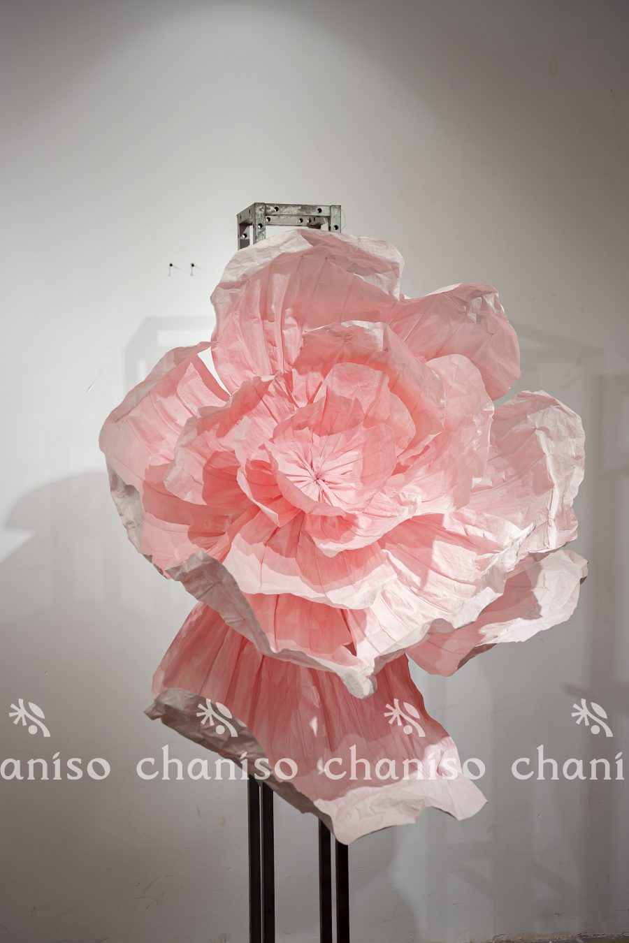 Shapeable Giant Paper Flowers| Reconfigurable Petal