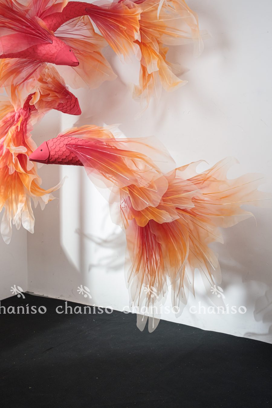 Monumental Giant EVA Lucky Koi