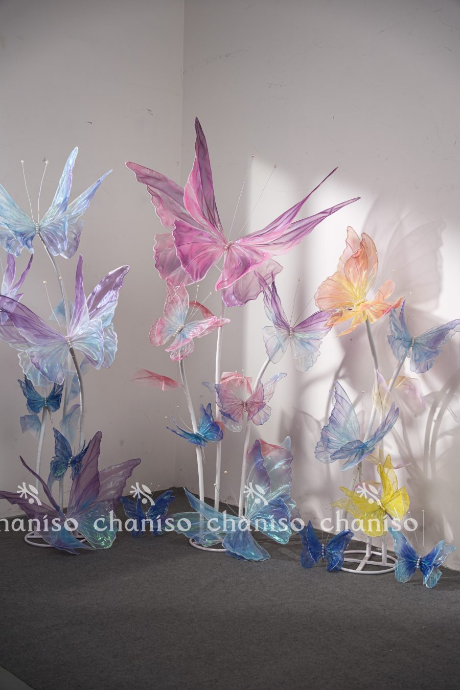 Standing Butterfly Display