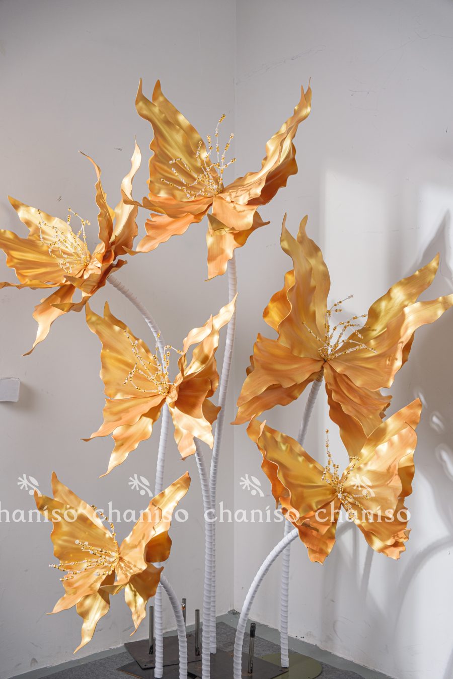 Standing Butterfly Display