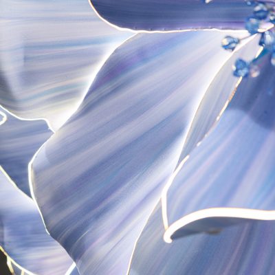 Illuminated EVA Giant Flowers | Glow-Tech Floral Display