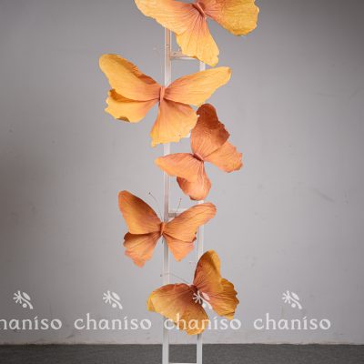 Standing Butterfly Display