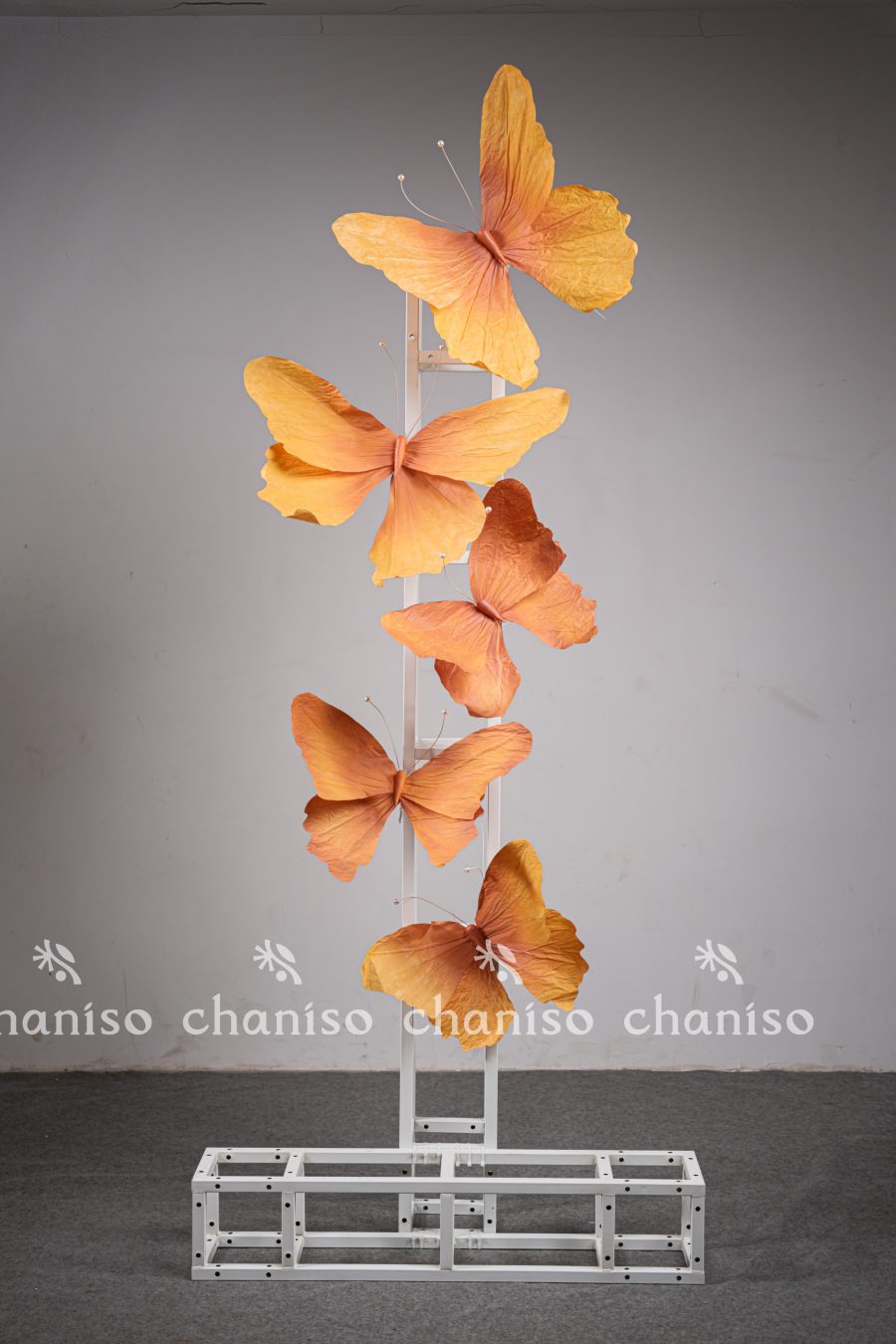 Standing Butterfly Display