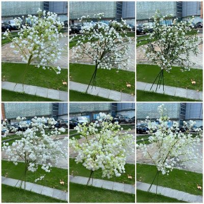 6 Curated Styles | Premium Gypsophila Selection