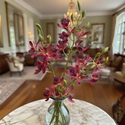 Real-Touch Cattleya Orchid