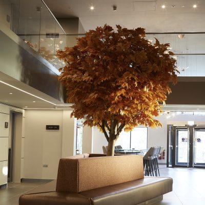 Large Artificial Maple Tree