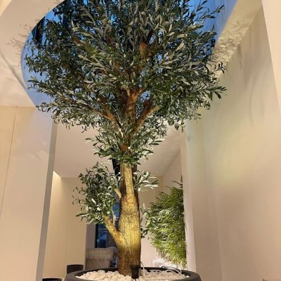 Large Artificial Olive Tree