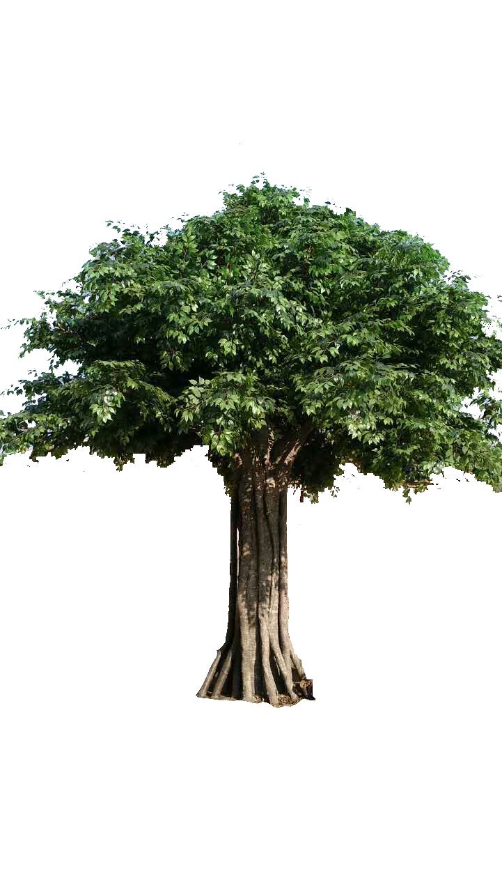 Large Artificial Banyan Tree