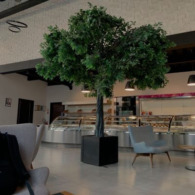 Large Artificial Banyan Tree