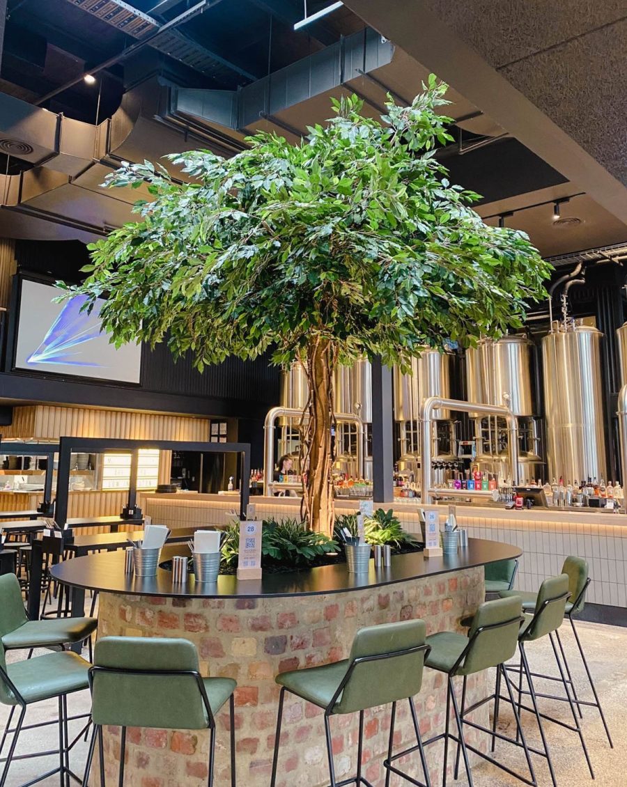 Large Artificial Banyan Tree