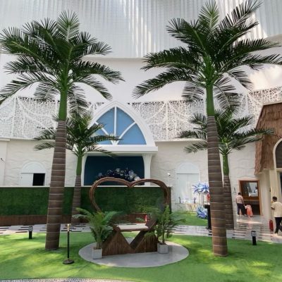 Royal/Coconut Palm Tree