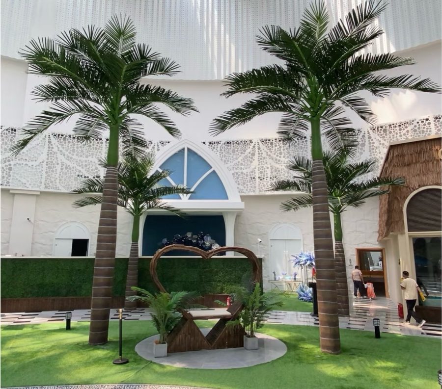 Royal/Coconut Palm Tree