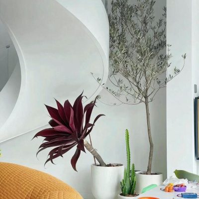 Artificial Red Agave