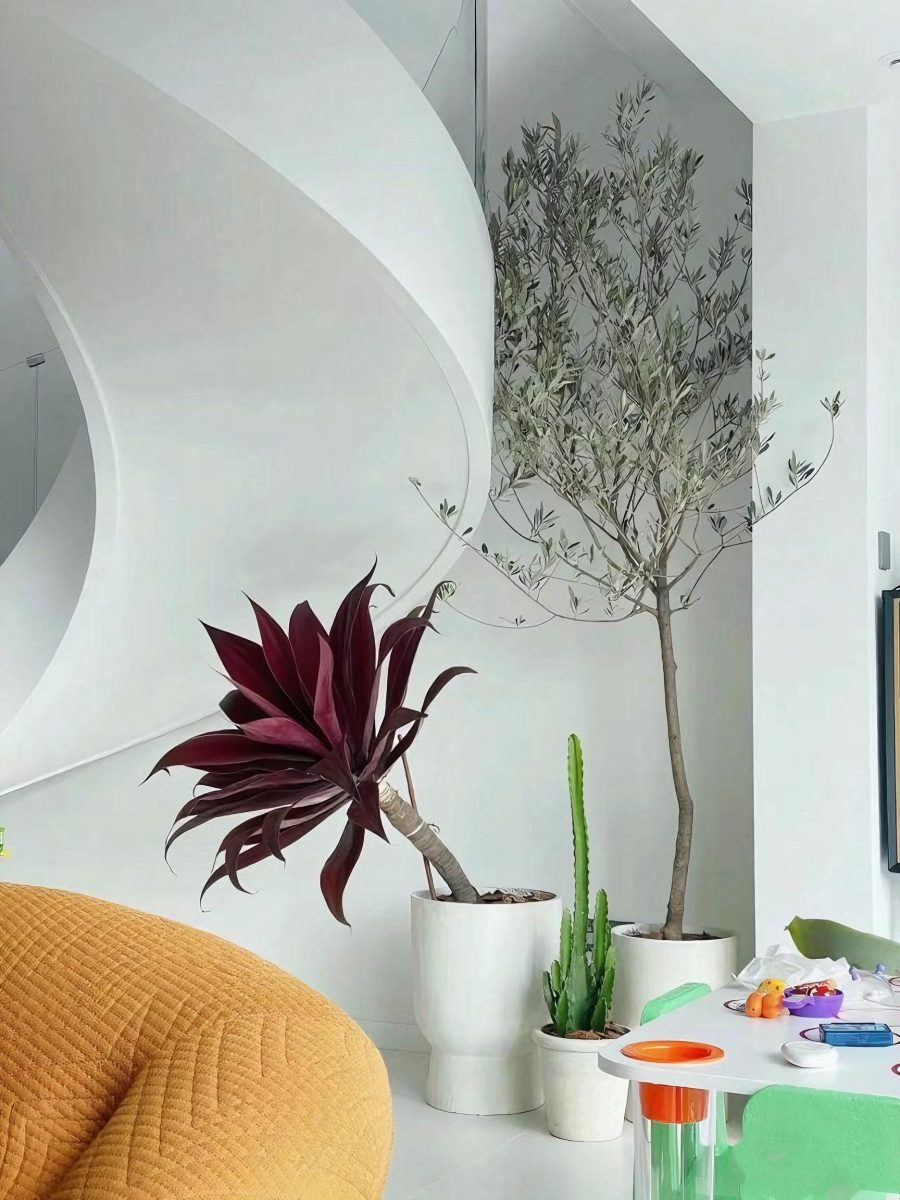 Artificial Red Agave