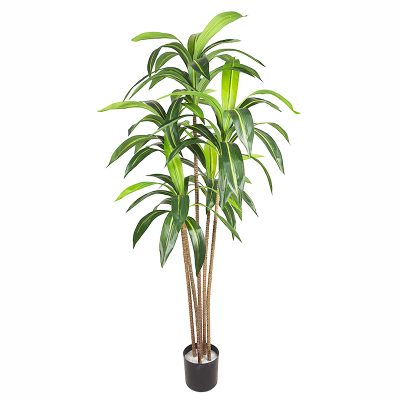 Faux Dracaena Fragrans/ Corn Plant
