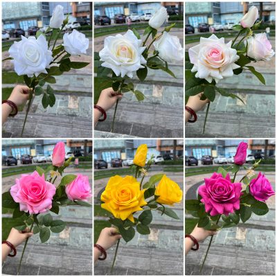 Real-touch Queen Rose