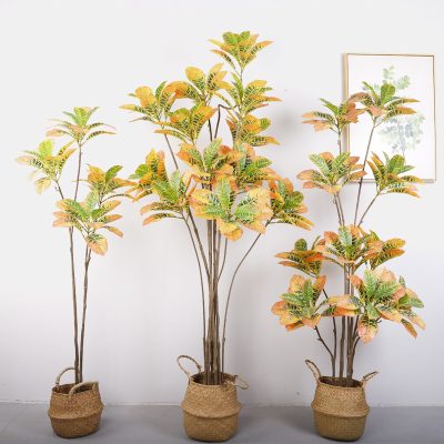 Artificial Golden Variegated Ficus