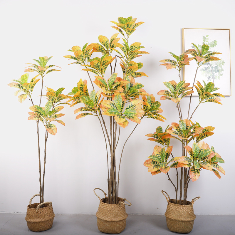 Artificial Golden Variegated Ficus