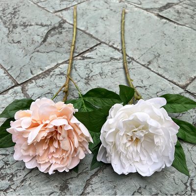 Real-Touch European-Style Peony