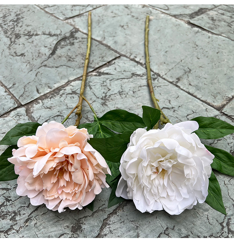 Real-Touch European-Style Peony