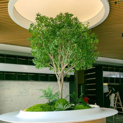 Large Artificial Pieris Tree
