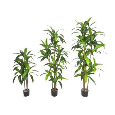 Faux Dracaena Fragrans/ Corn Plant