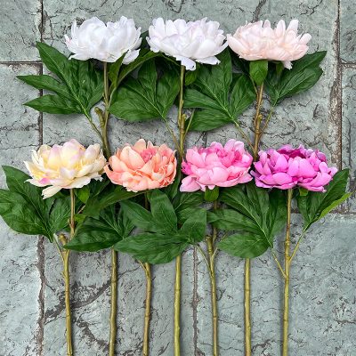 Real-Touch European-Style Peony