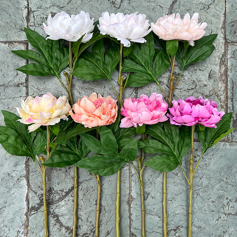 Real-Touch European-Style Peony