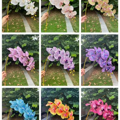 9-Bloom 3D Real-Touch Moth Orchids